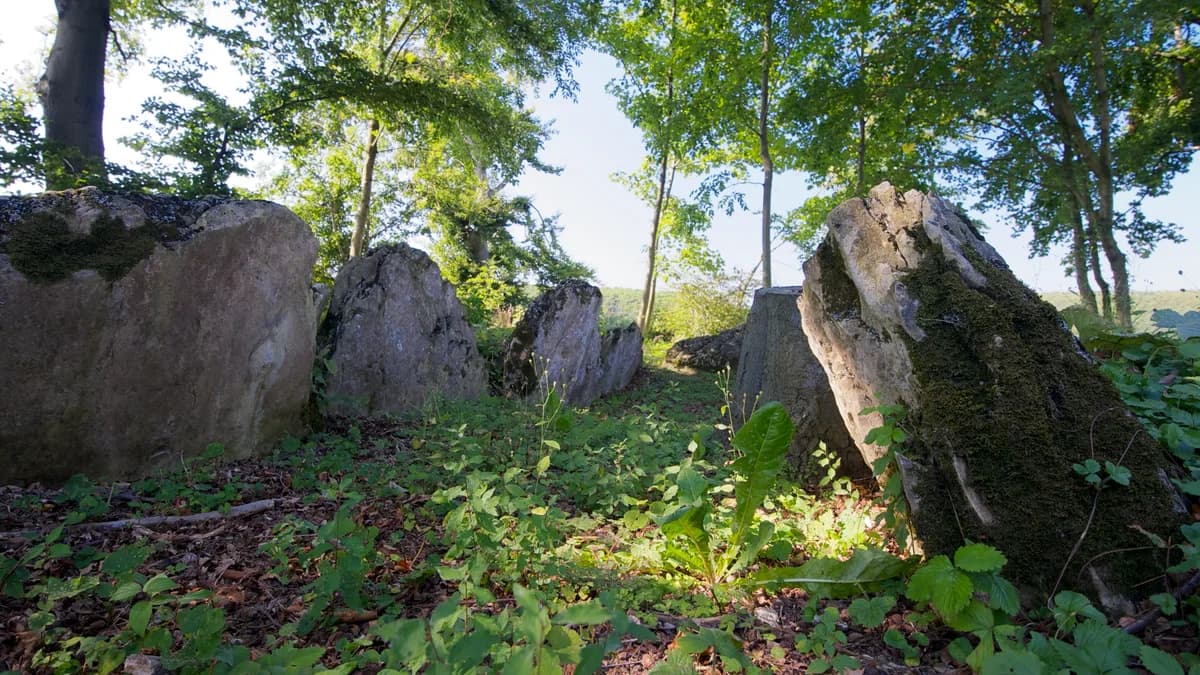 Stadtansicht von Borchen